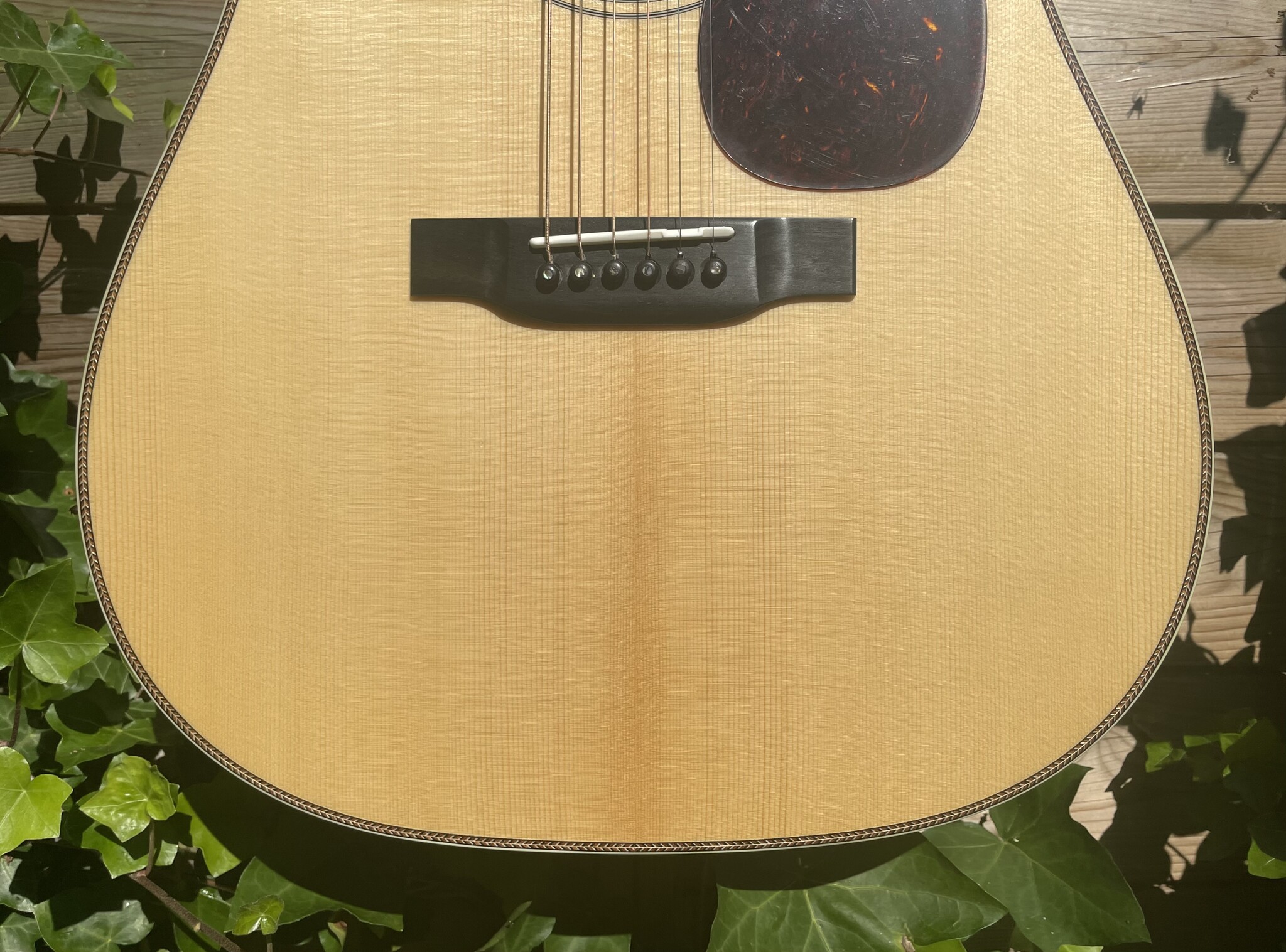 Eastman Eastman E20D-MR-TC (#...218)