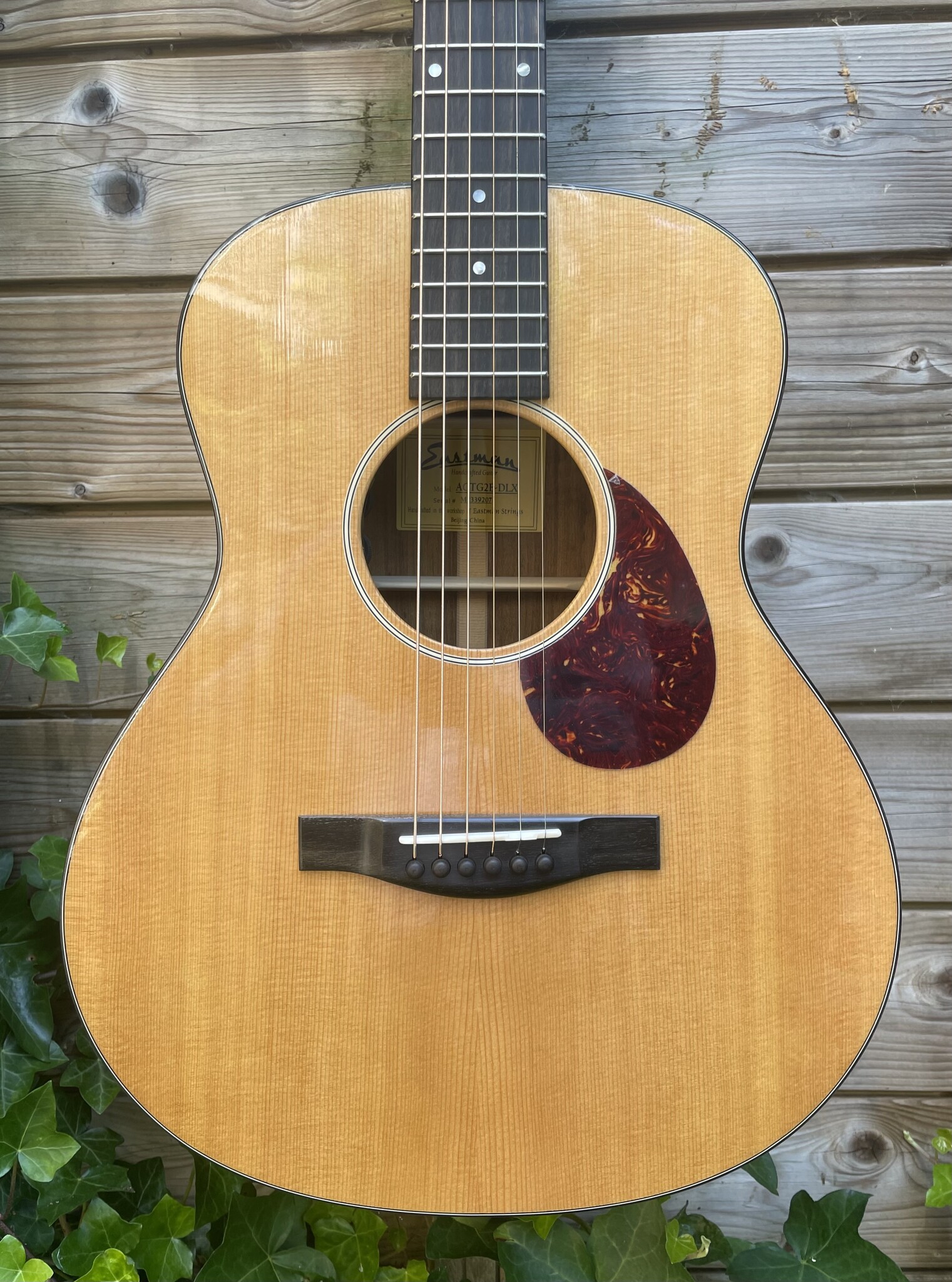 Eastman Eastman ACTG-2E-DLX