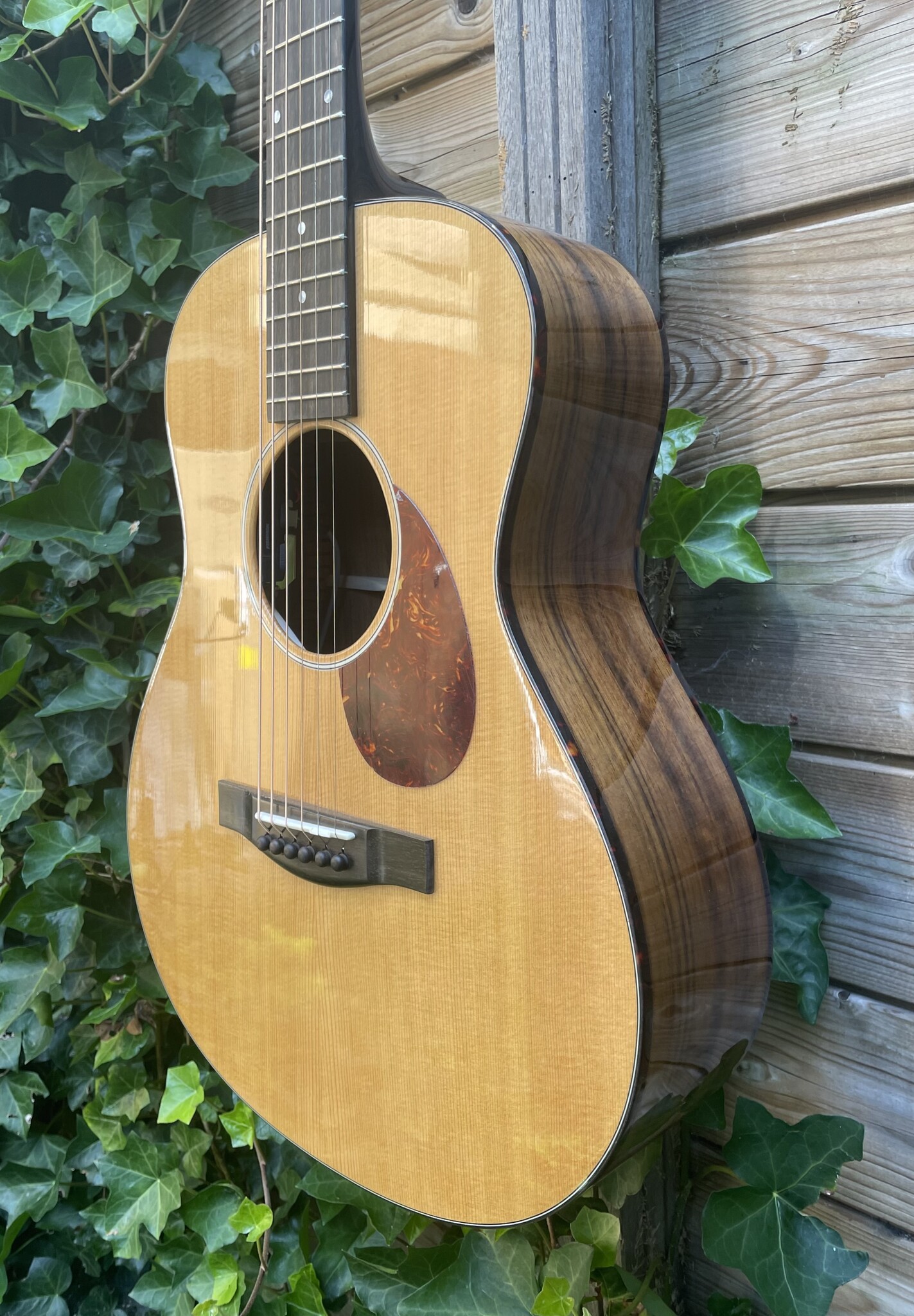 Eastman Eastman ACTG-2E-DLX