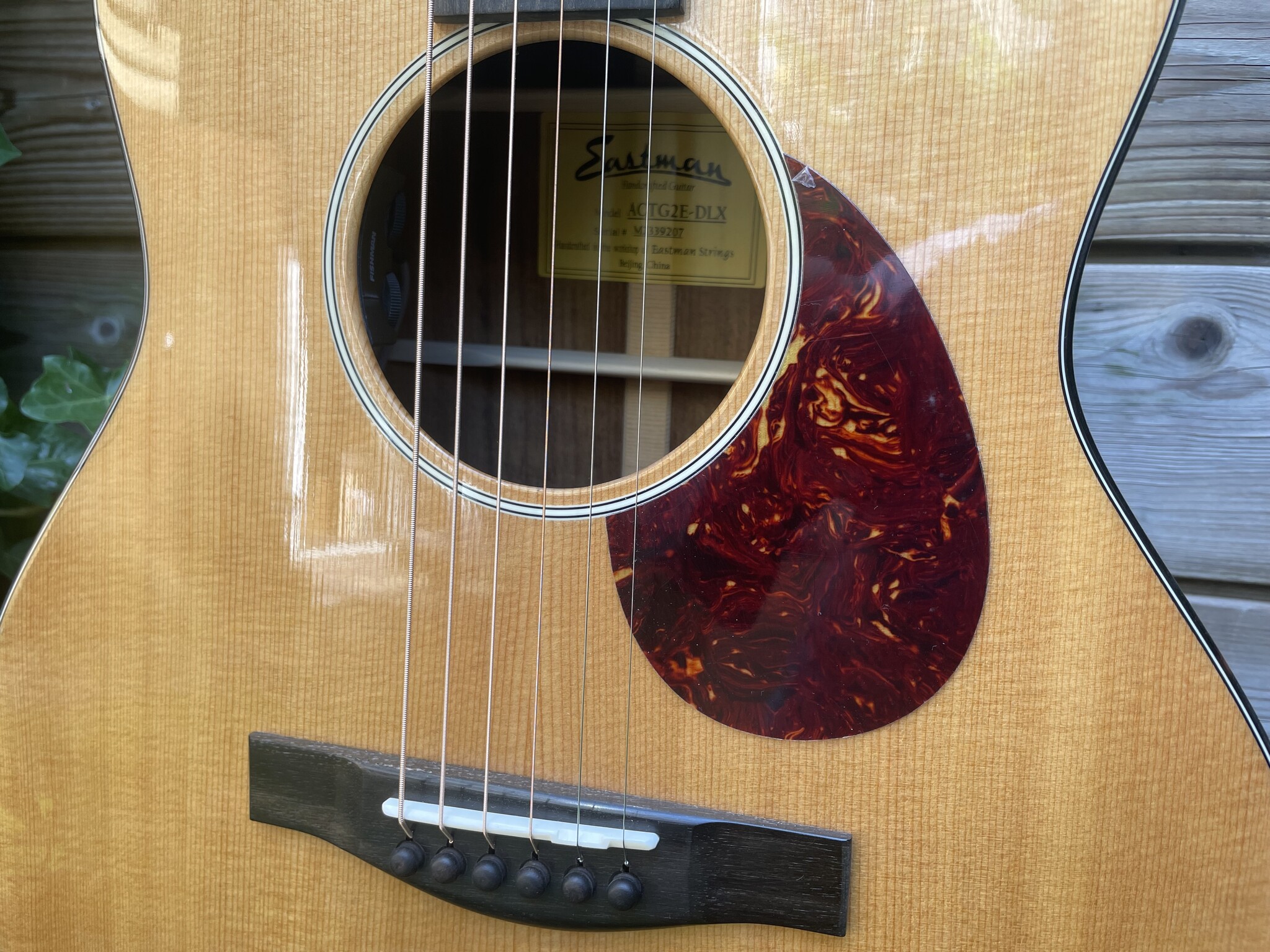 Eastman Eastman ACTG-2E-DLX