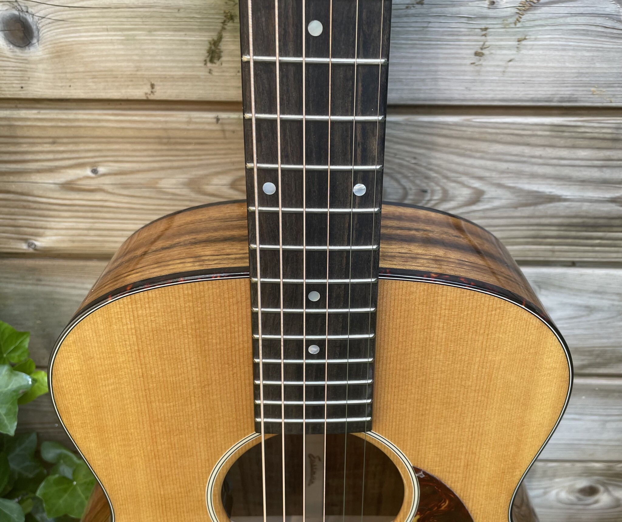 Eastman Eastman ACTG-2E-DLX