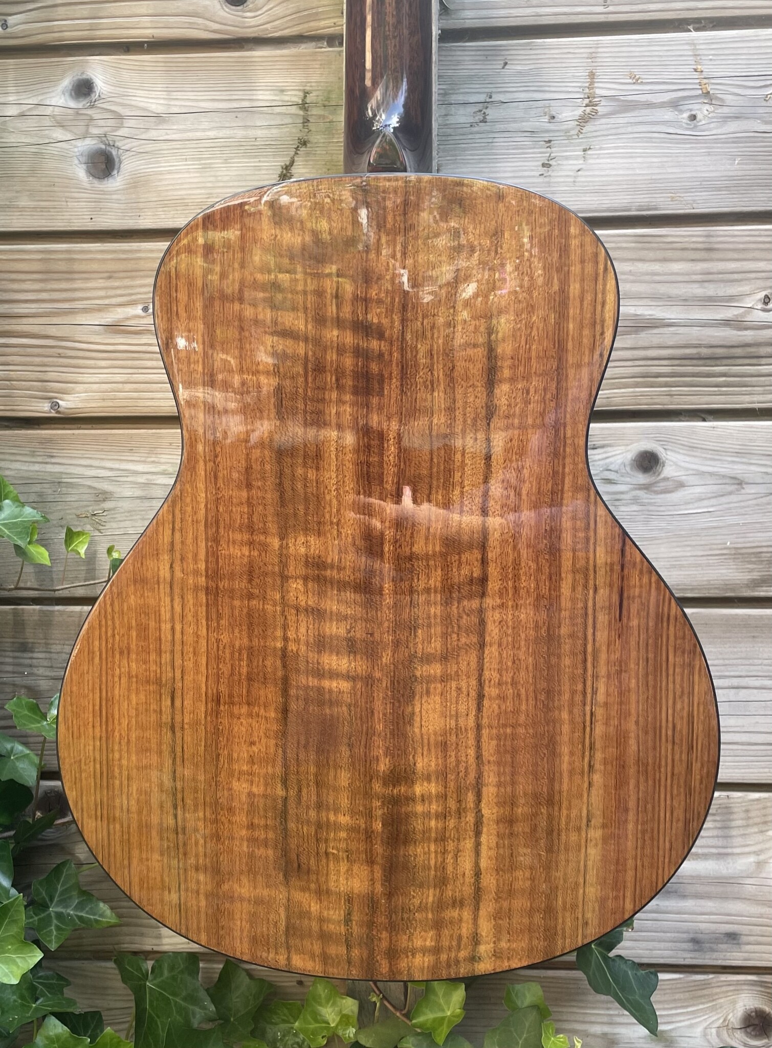 Eastman Eastman ACTG-2E-DLX