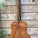 Eastman Eastman ACTG-2E-DLX
