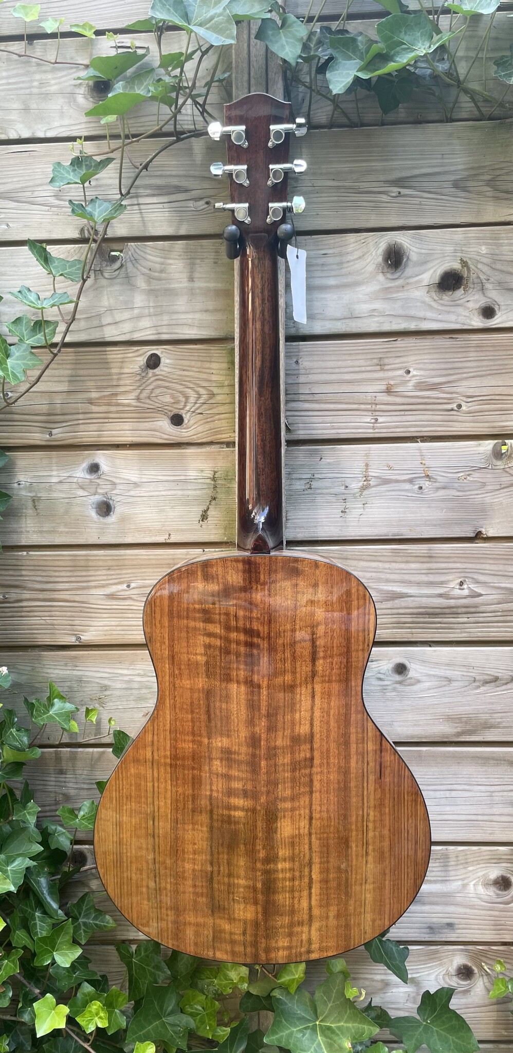 Eastman Eastman ACTG-2E-DLX