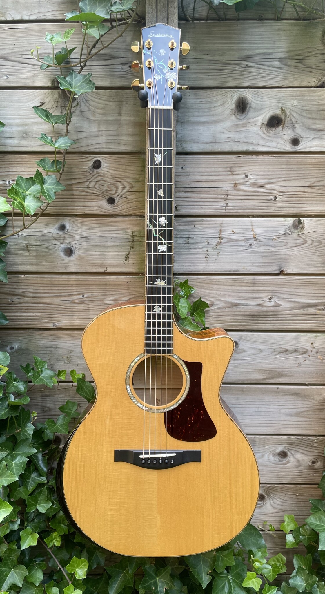 Eastman Eastman AC622CE occ.