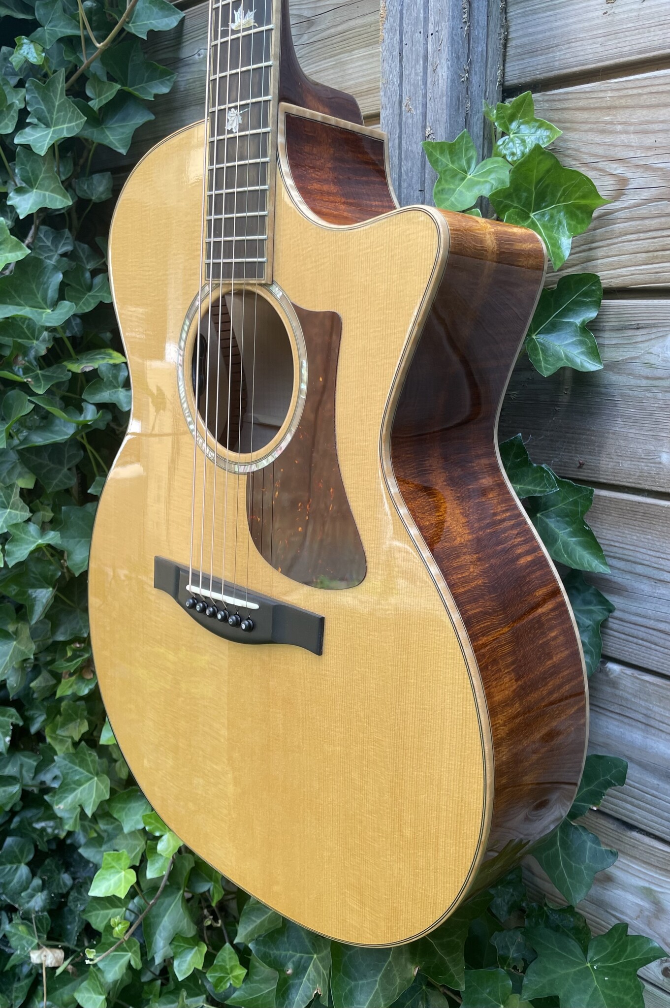 Eastman Eastman AC622CE occ.