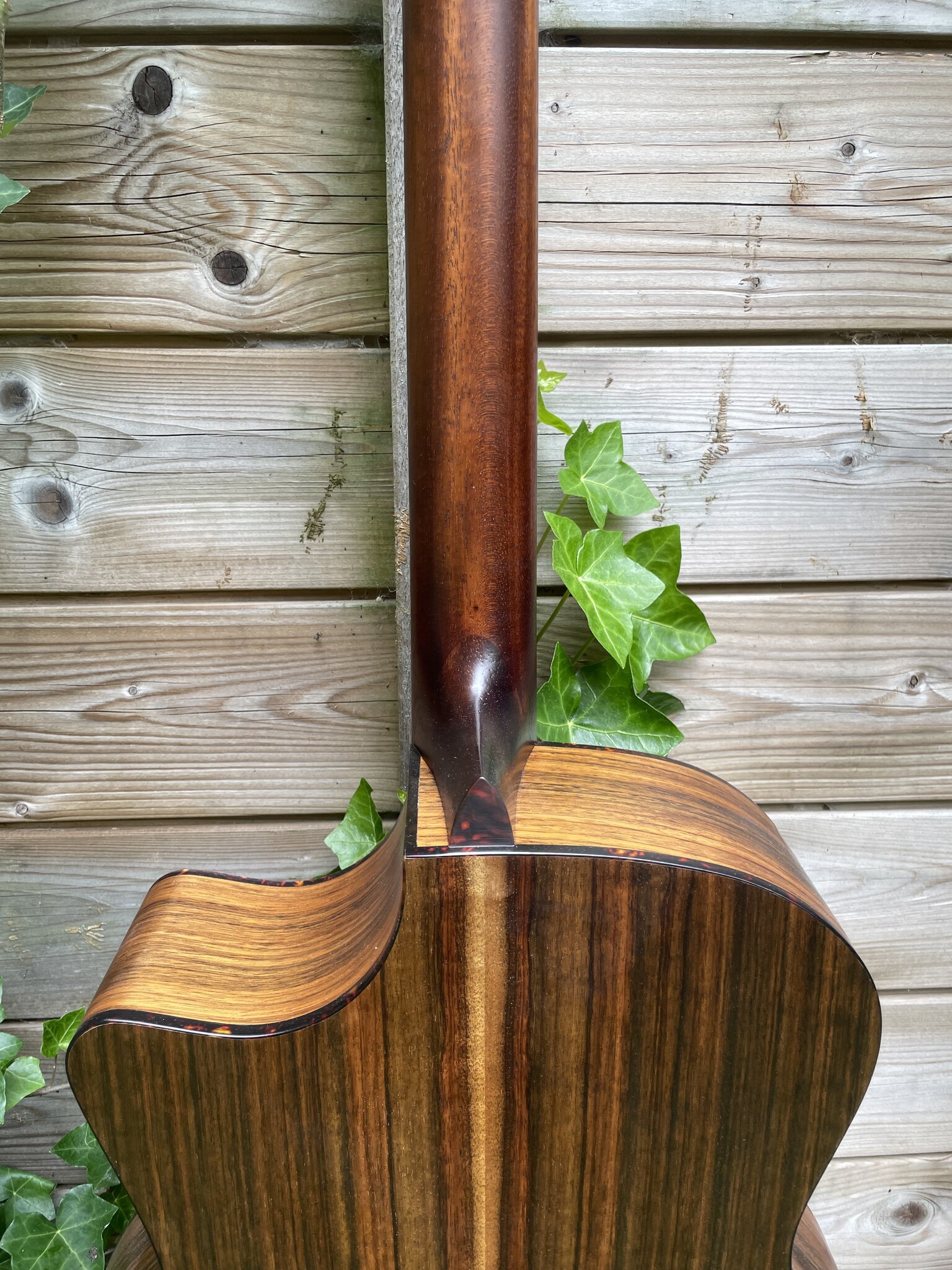Eastman Eastman AC222CE OV Ovangkol Classic
