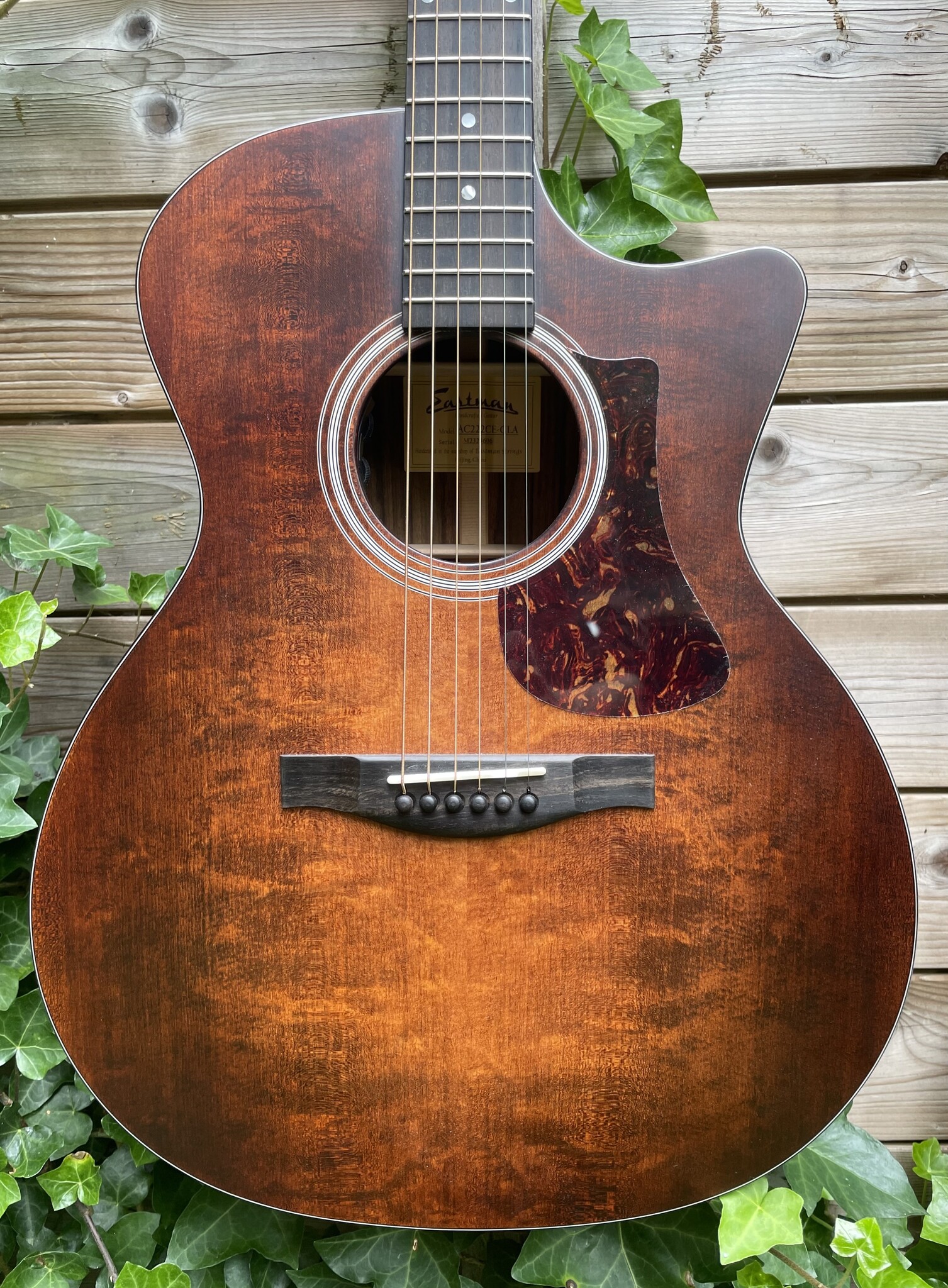 【ayanenco】AMERI VINTAGE 2WAY SCOOP OU Eastman AC222CE Ovangkol Classic | The Fellowship of Acoustics