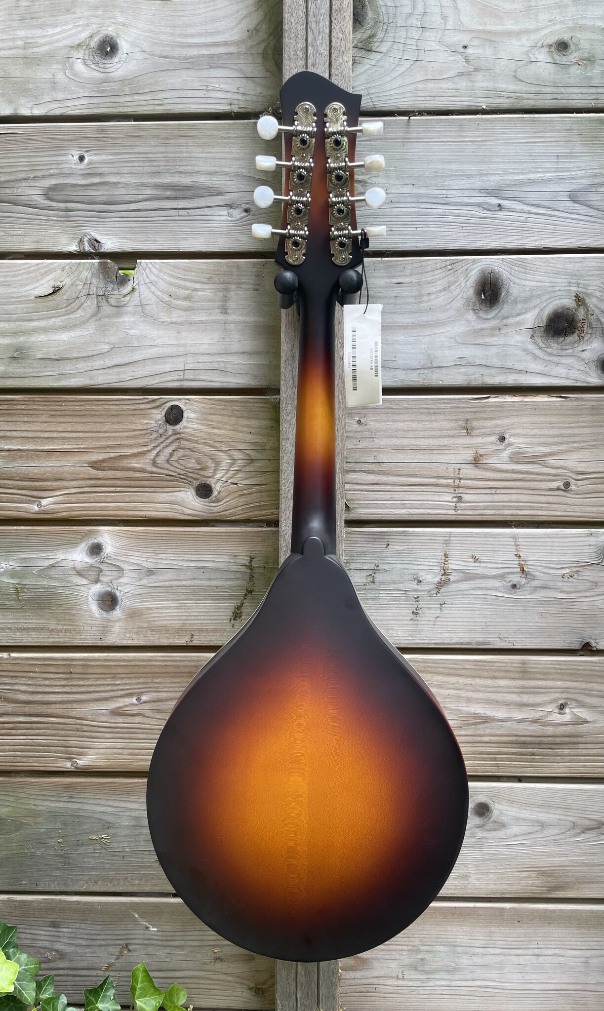 Eastman Eastman MD305E Sunburst