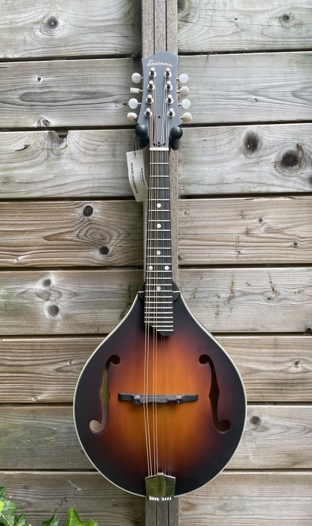 Eastman Eastman MD305E Sunburst
