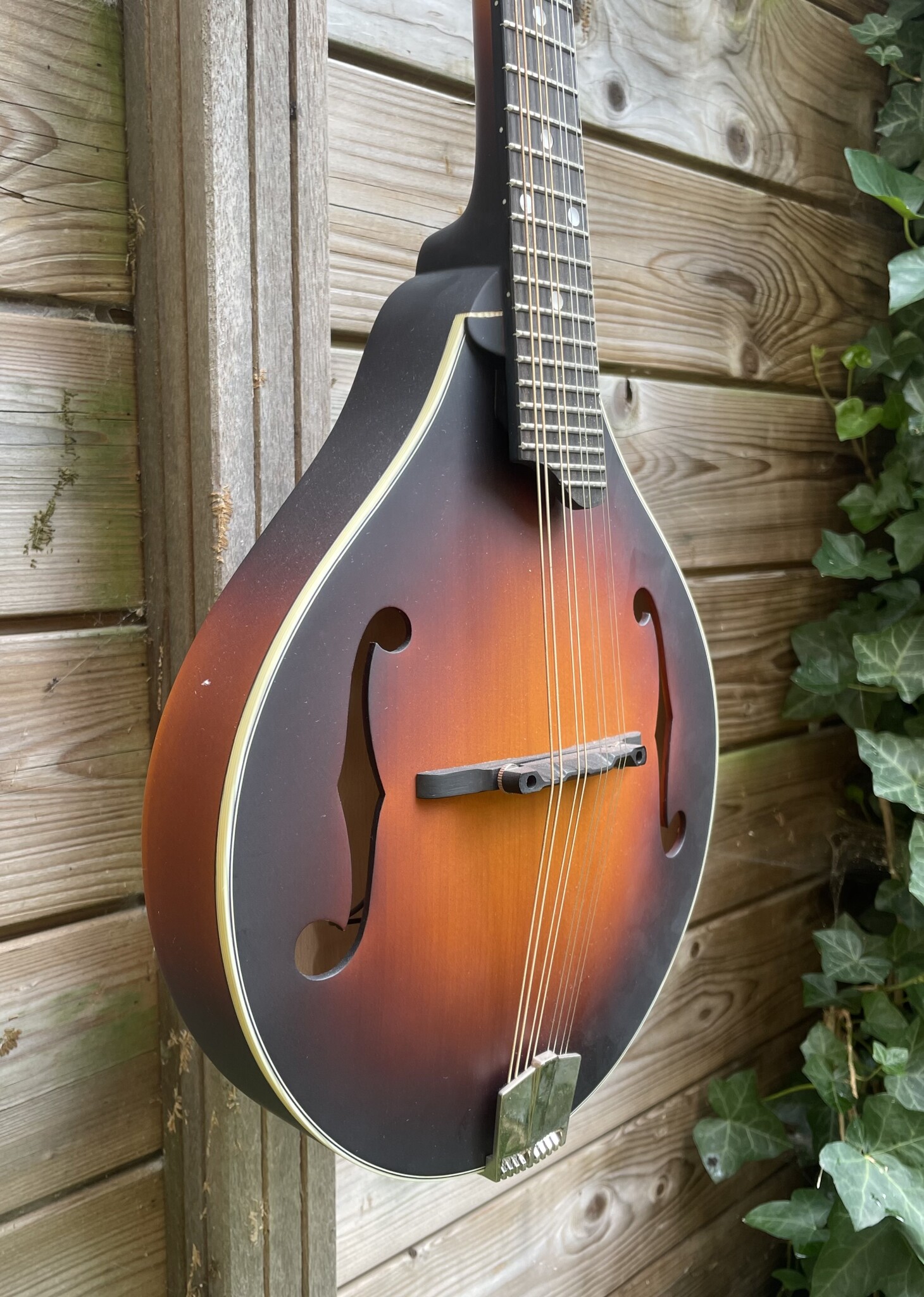 Eastman Eastman MD305E Sunburst