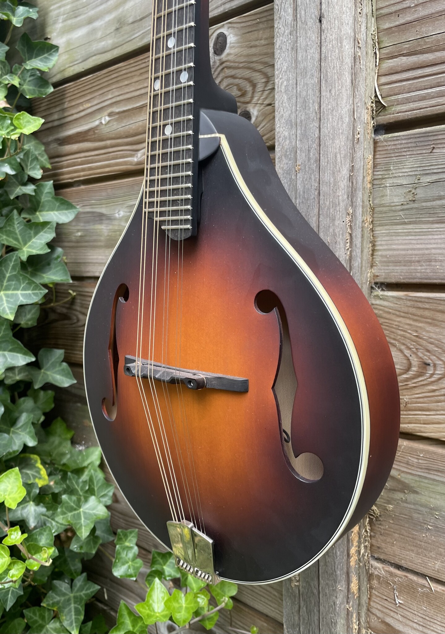 Eastman Eastman MD305E Sunburst
