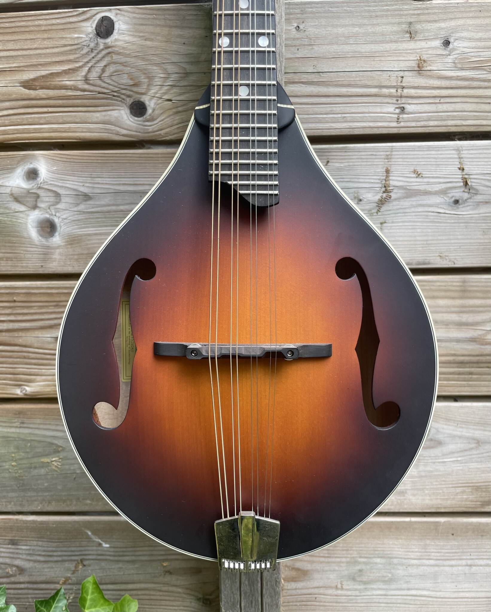 Eastman Eastman MD305E Sunburst
