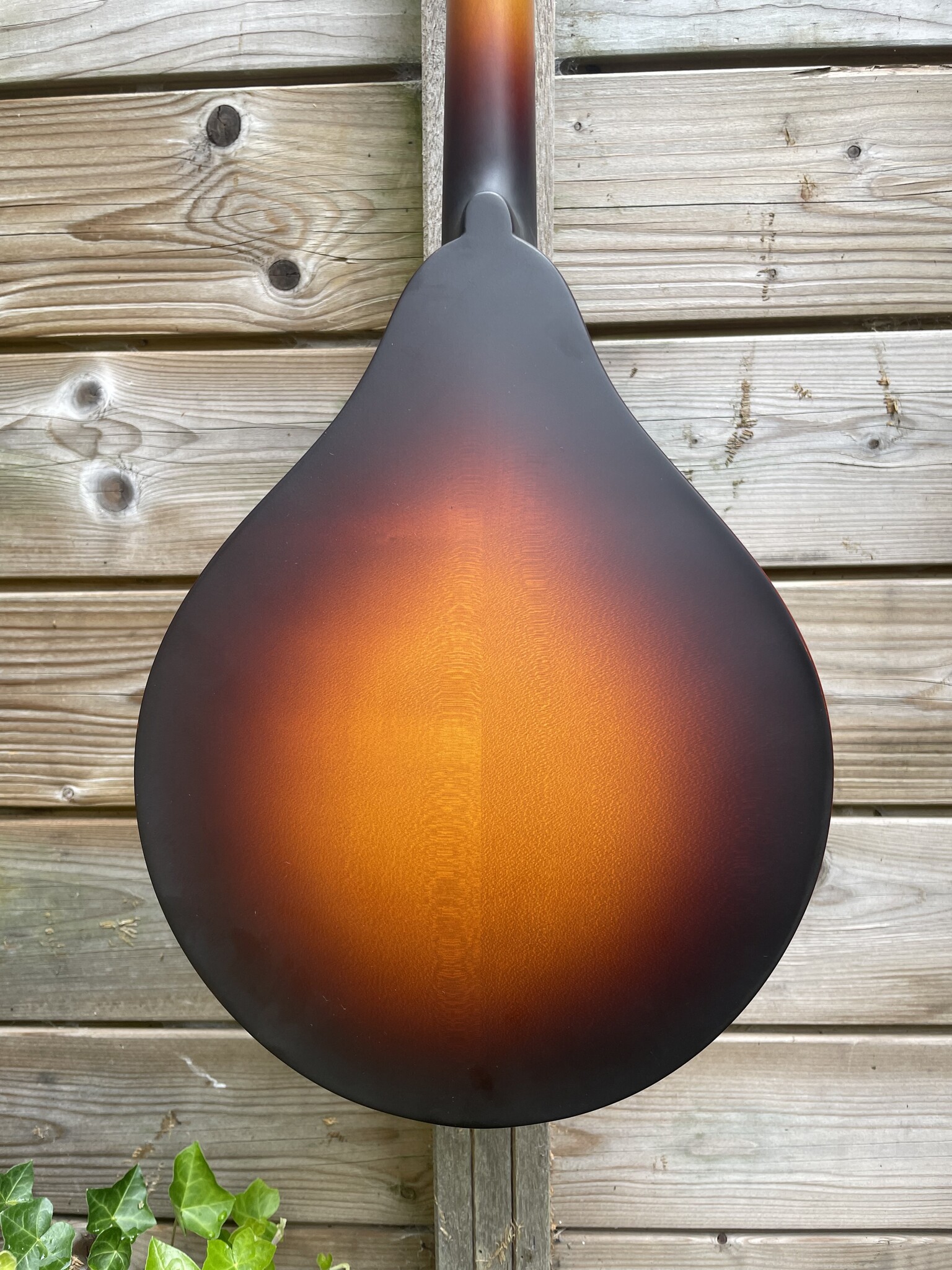 Eastman Eastman MD305E Sunburst