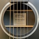C. F. Martin & Co. Martin D-X1 Black X-Series