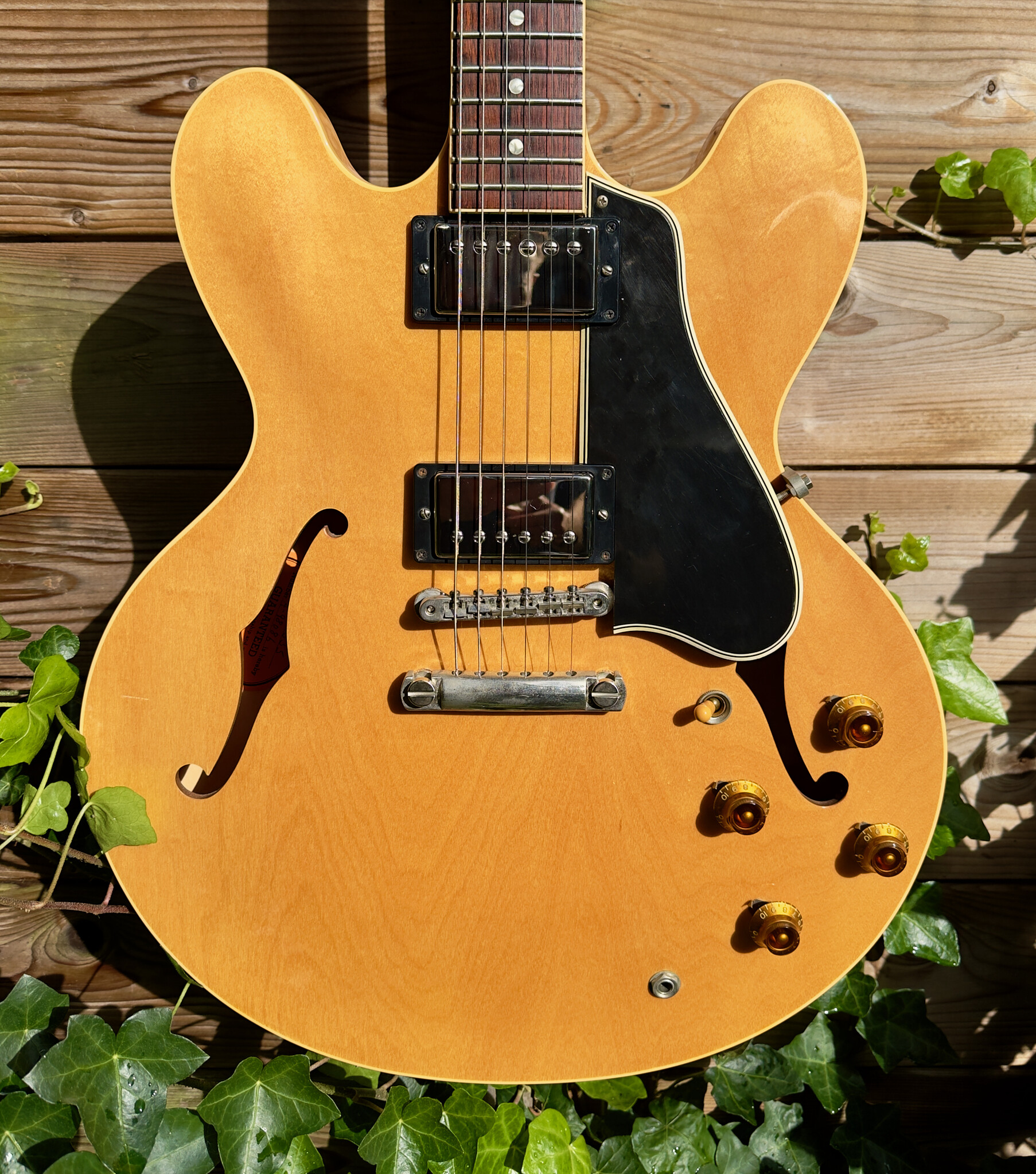 Gibson 2008 Gibson '59 ES-335