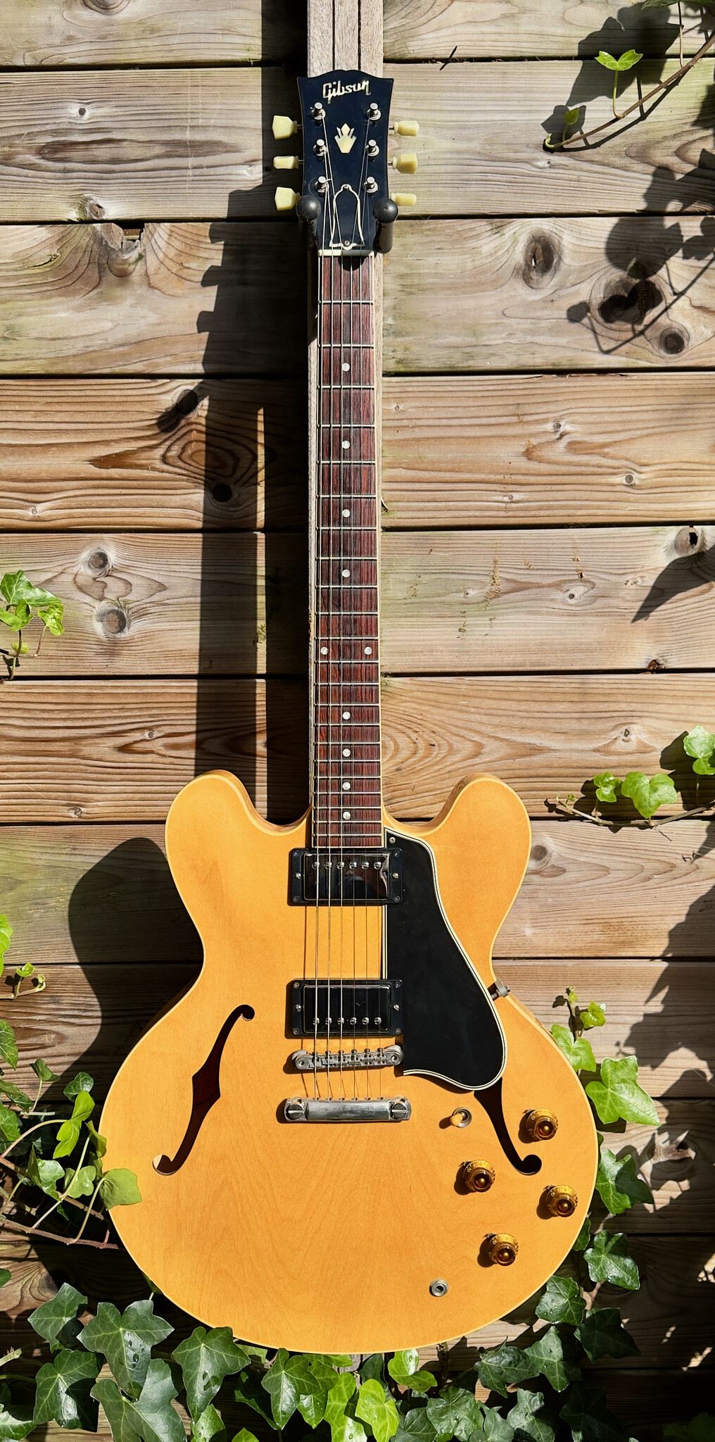 Gibson 2008 Gibson '59 ES-335