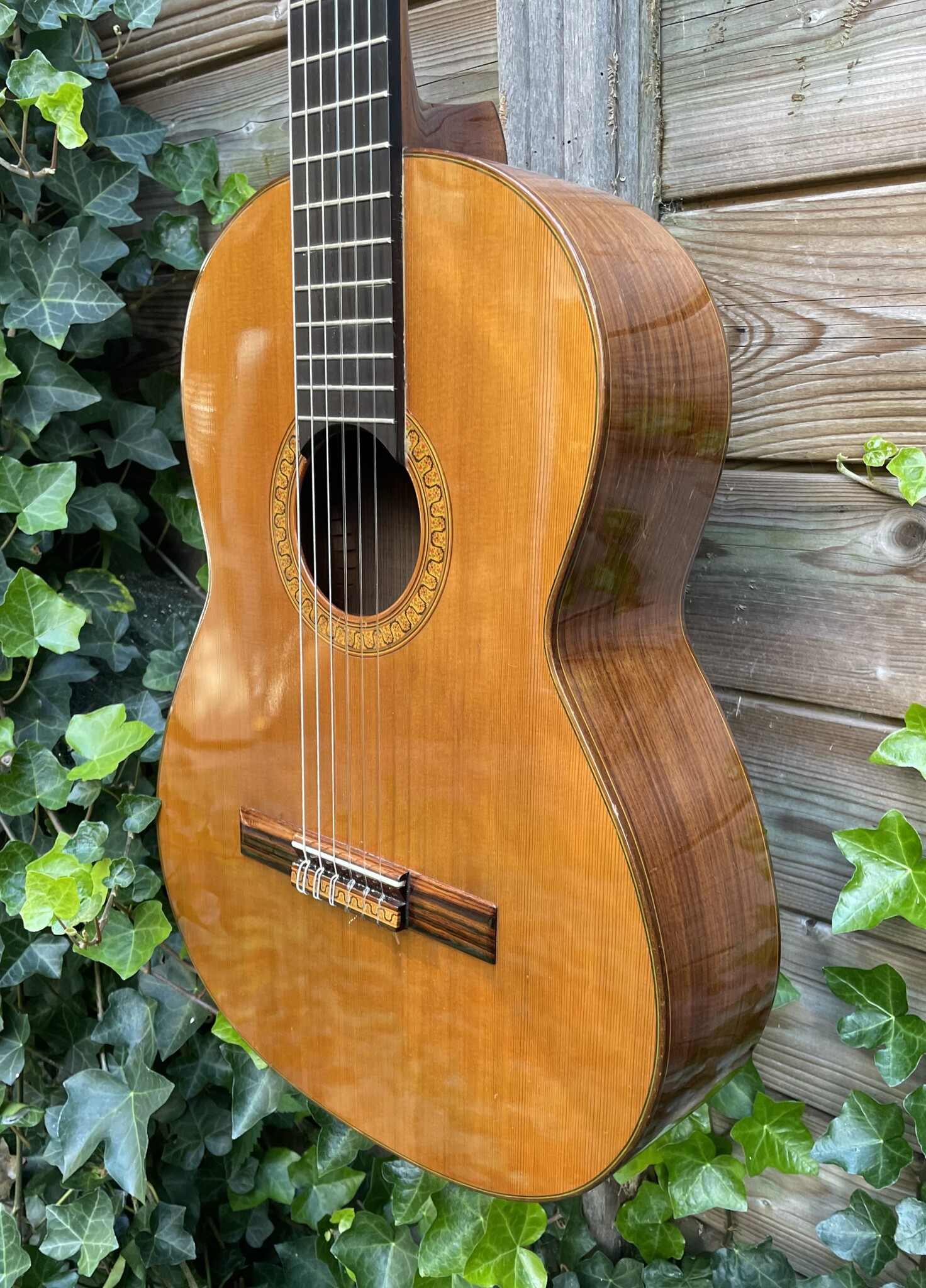 José Ramirez José Ramirez 1972 Concepcion Jeronima no. 2
