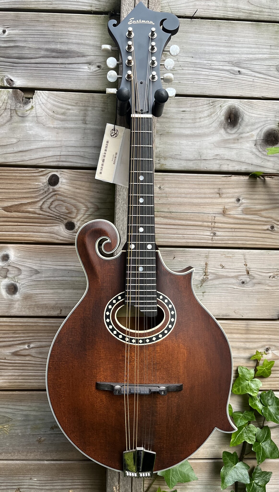 Eastman Eastman MD314 F-Style Oval Hole