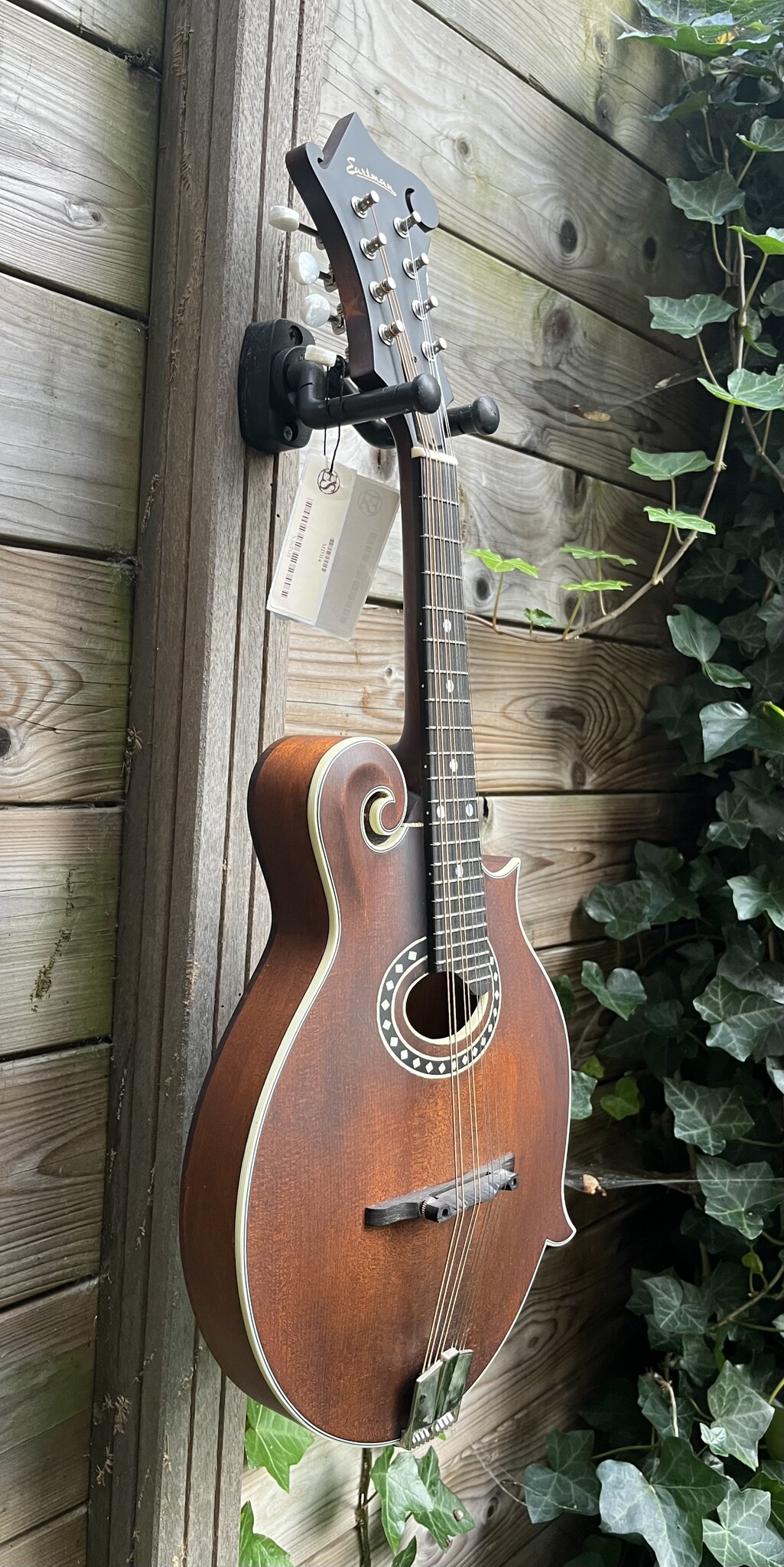 Eastman Eastman MD314 F-Style Oval Hole
