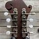 Eastman Eastman MD314 F-Style Oval Hole