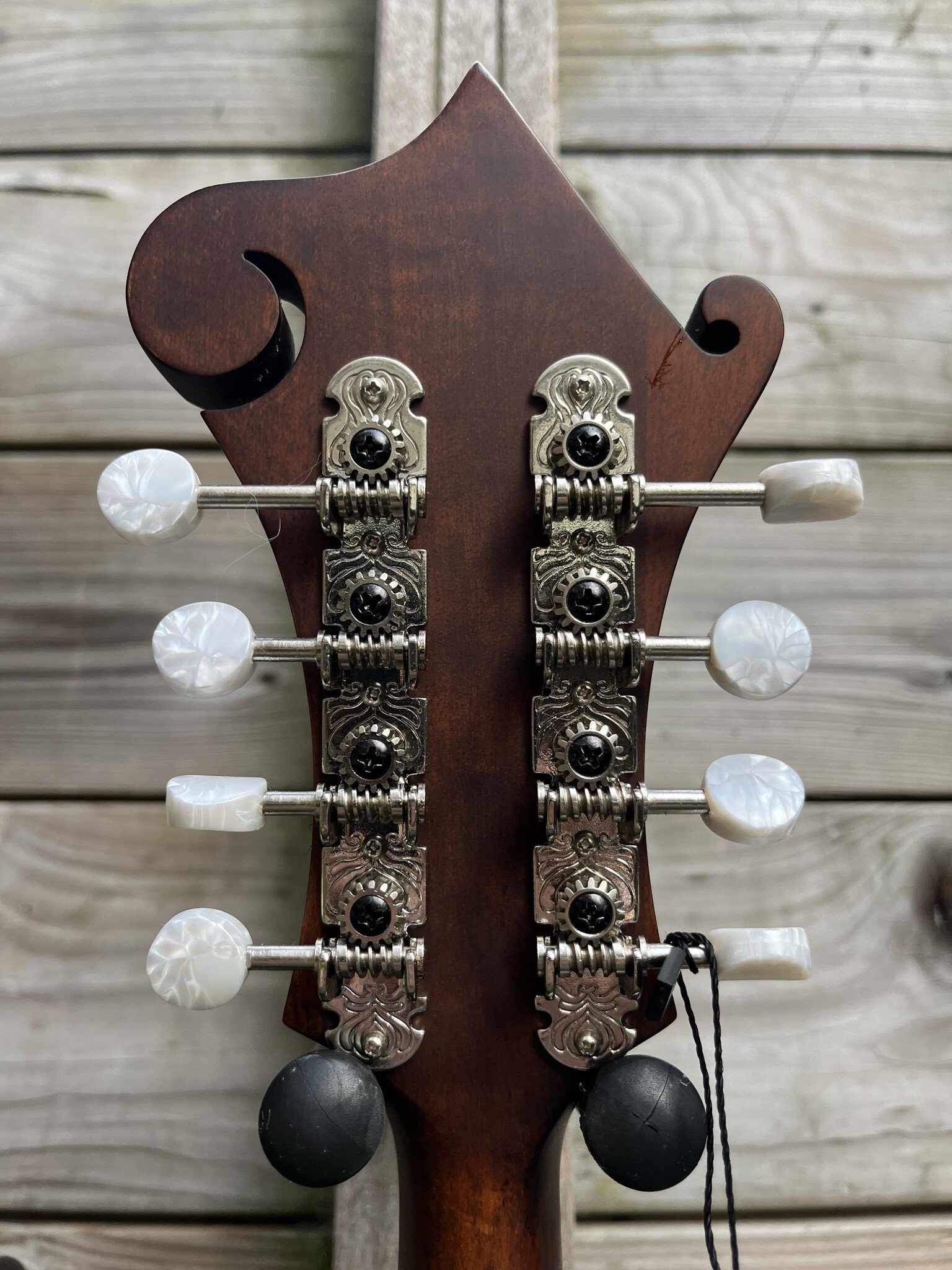 Eastman Eastman MD314 F-Style Oval Hole
