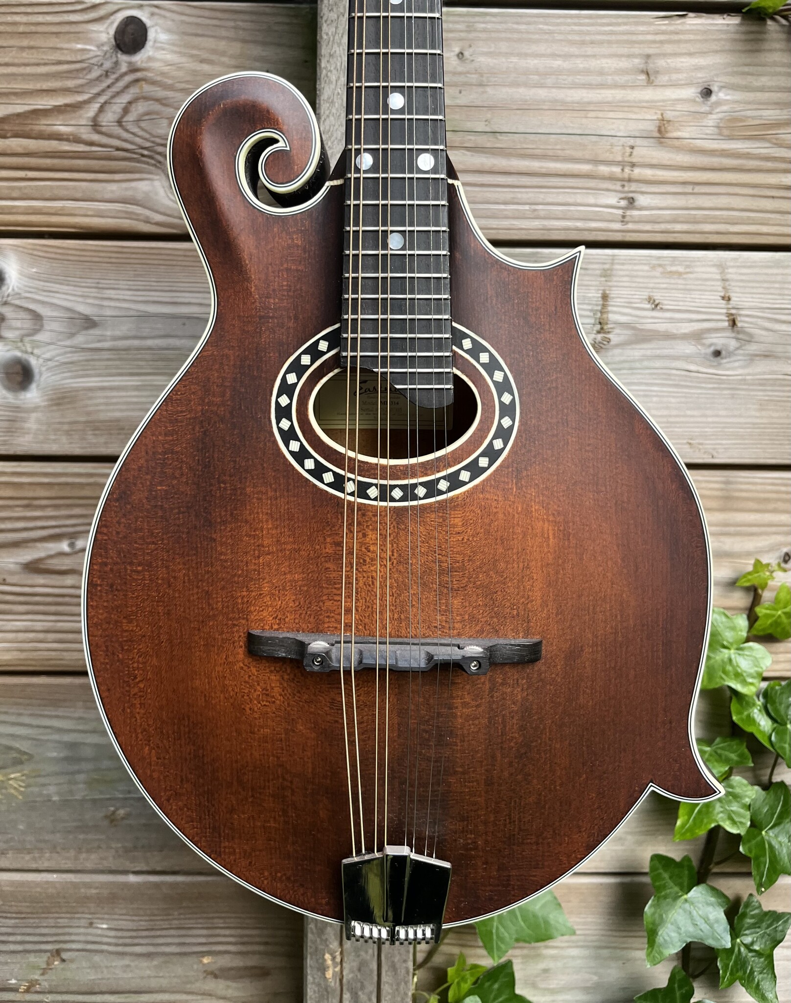 Eastman Eastman MD314 F-Style Oval Hole