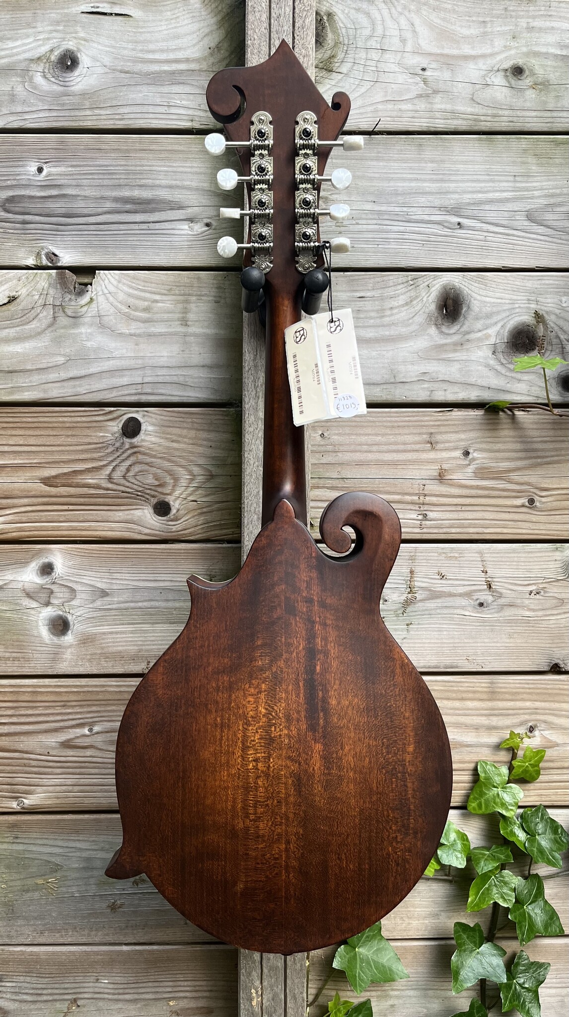 Eastman Eastman MD314 F-Style Oval Hole