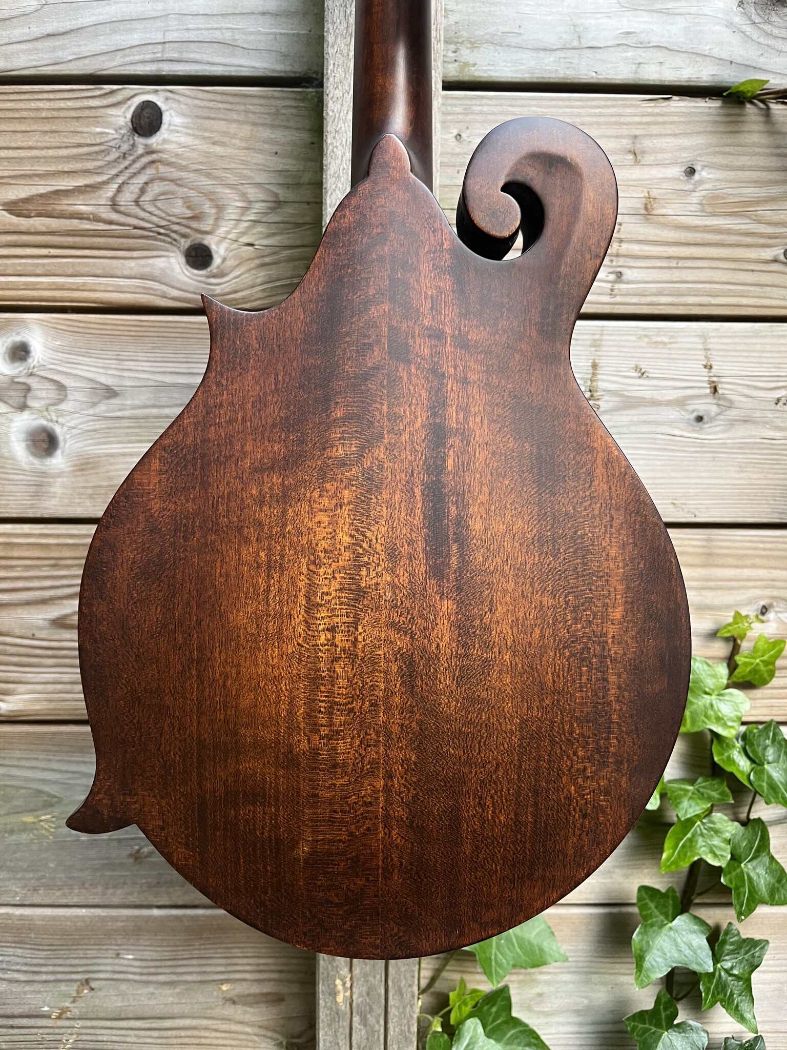 Eastman Eastman MD314 F-Style Oval Hole