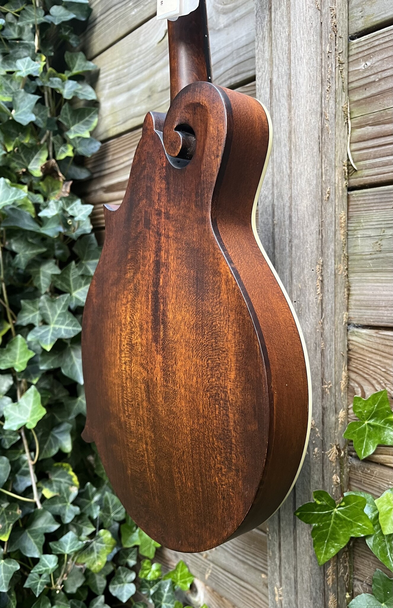 Eastman Eastman MD314 F-Style Oval Hole