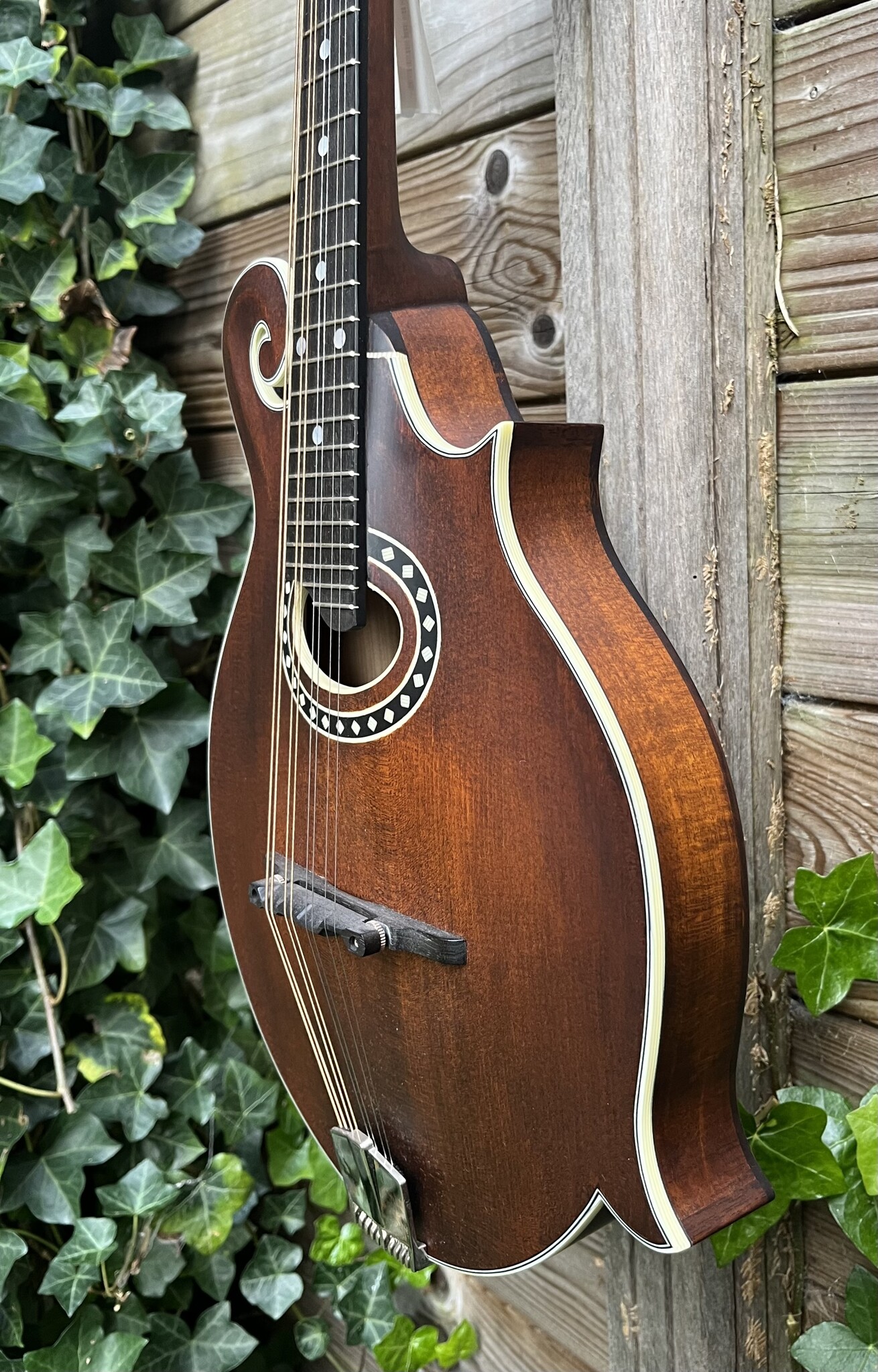 Eastman Eastman MD314 F-Style Oval Hole
