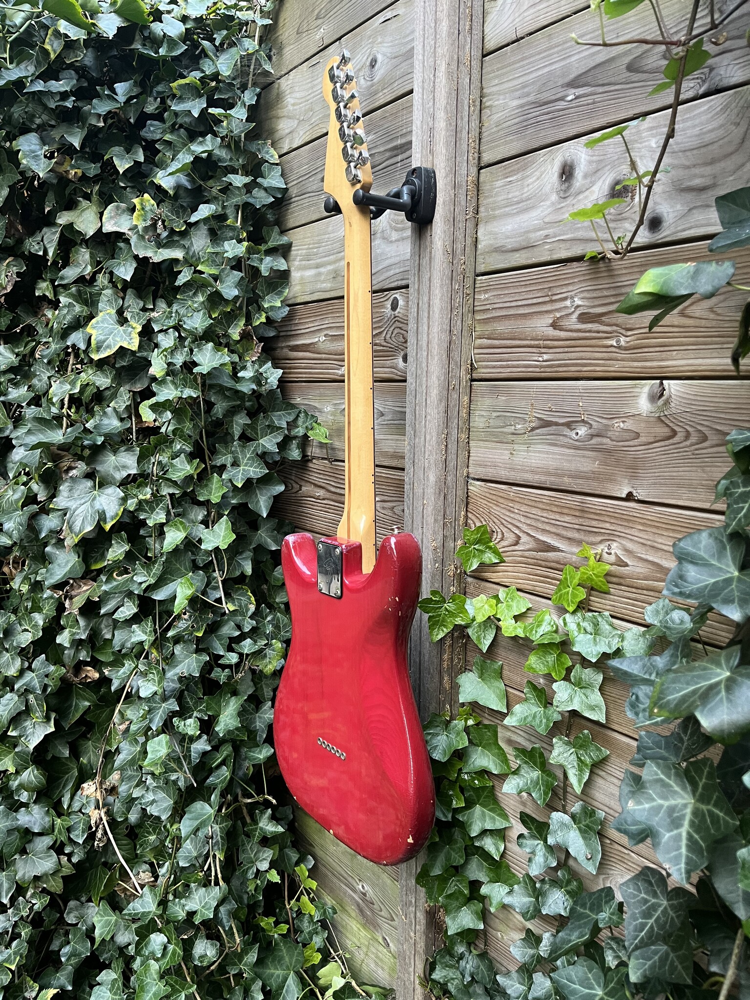 Fender 1981 Fender Lead I Wine Red