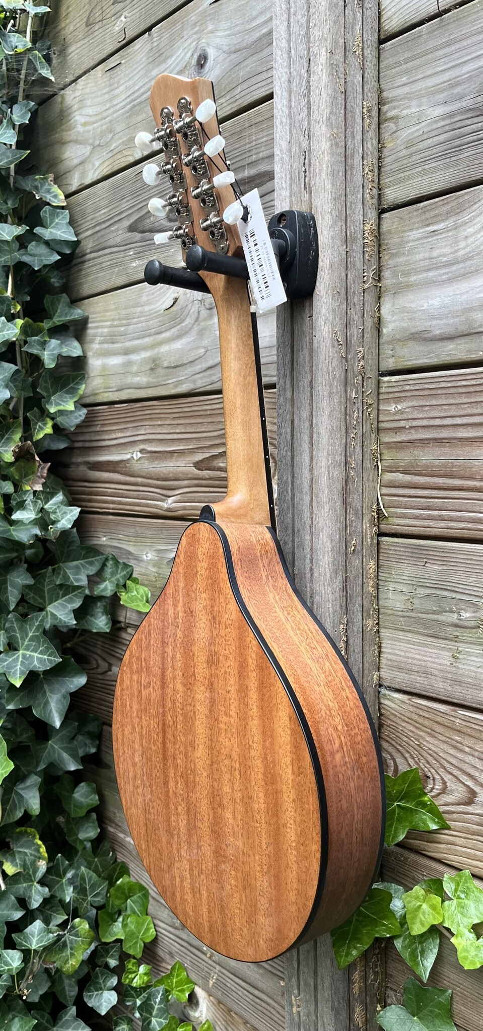 Eastman Eastman PCH-M104 Natural A-style Mandolin