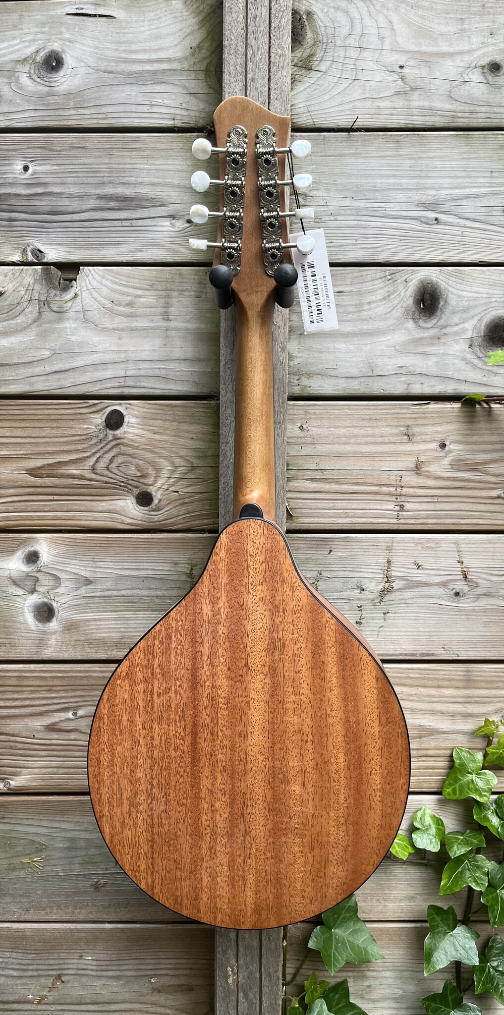 Eastman Eastman PCH-M104 Natural A-style Mandolin