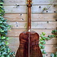 C. F. Martin & Co. Martin Custom Shop D-14 Ambertone 42-Style