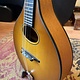 Eastman Eastman PCH-M104 Goldburst A-Style