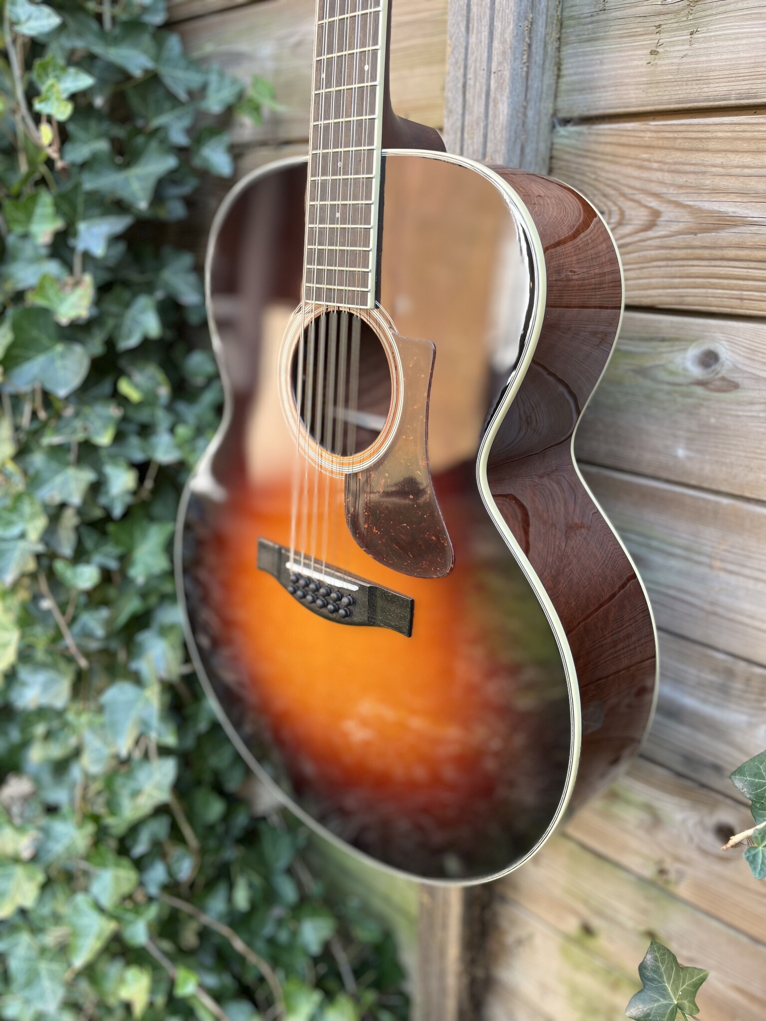 Eastman Eastman AC330E-12 String Sunburst (#...577)