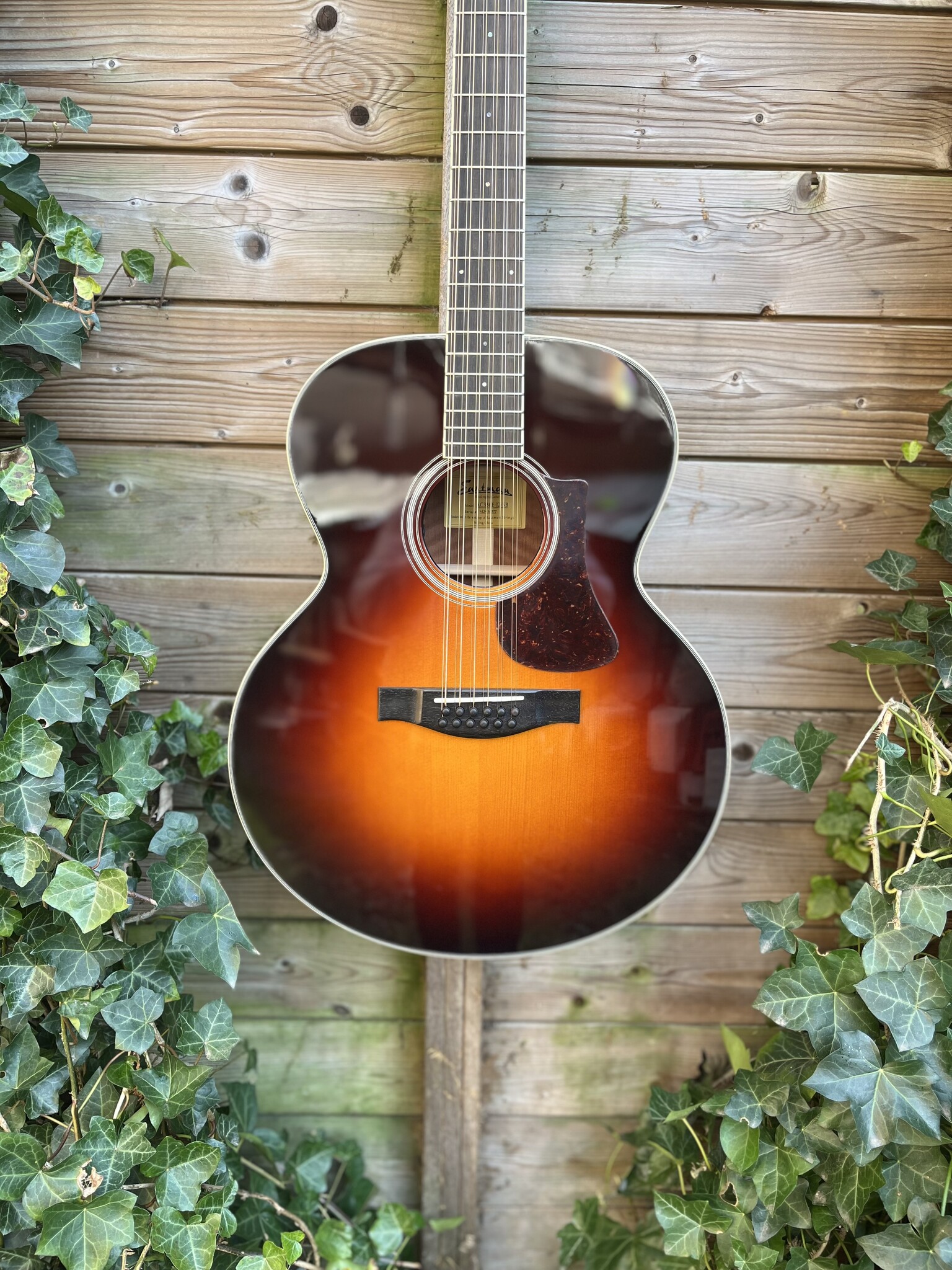 Eastman Eastman AC330E-12 String Sunburst (#...577)