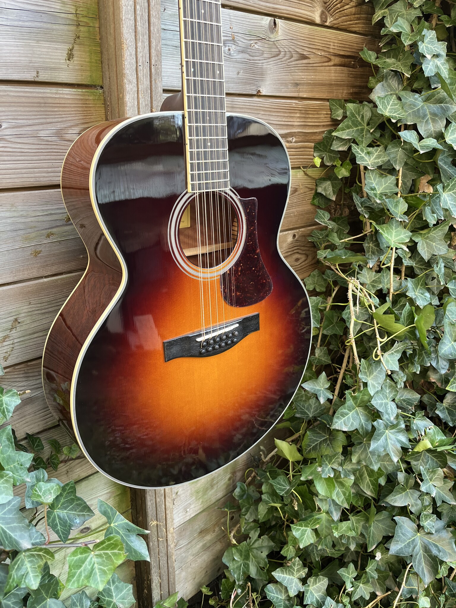Eastman Eastman AC330E-12 String Sunburst (#...577)