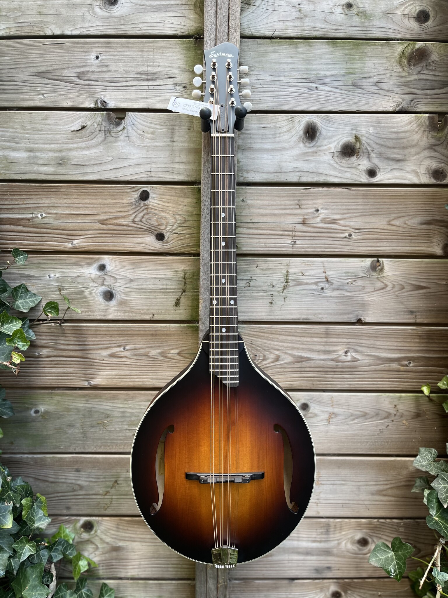Eastman Eastman MDO305E-SB Octaaf Mandoline
