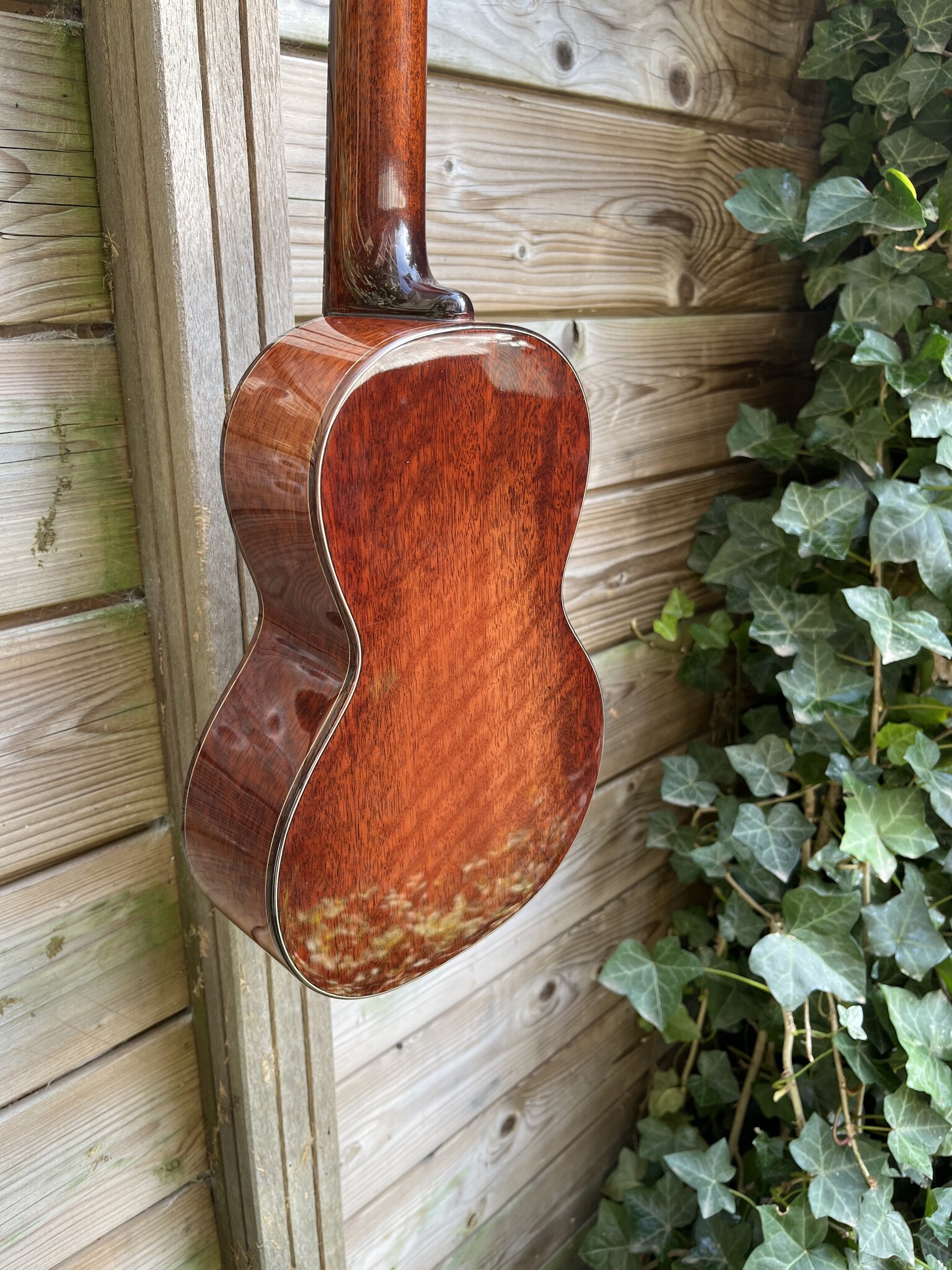 Eastman Eastman EU3C Concert Ukulele (#...167)
