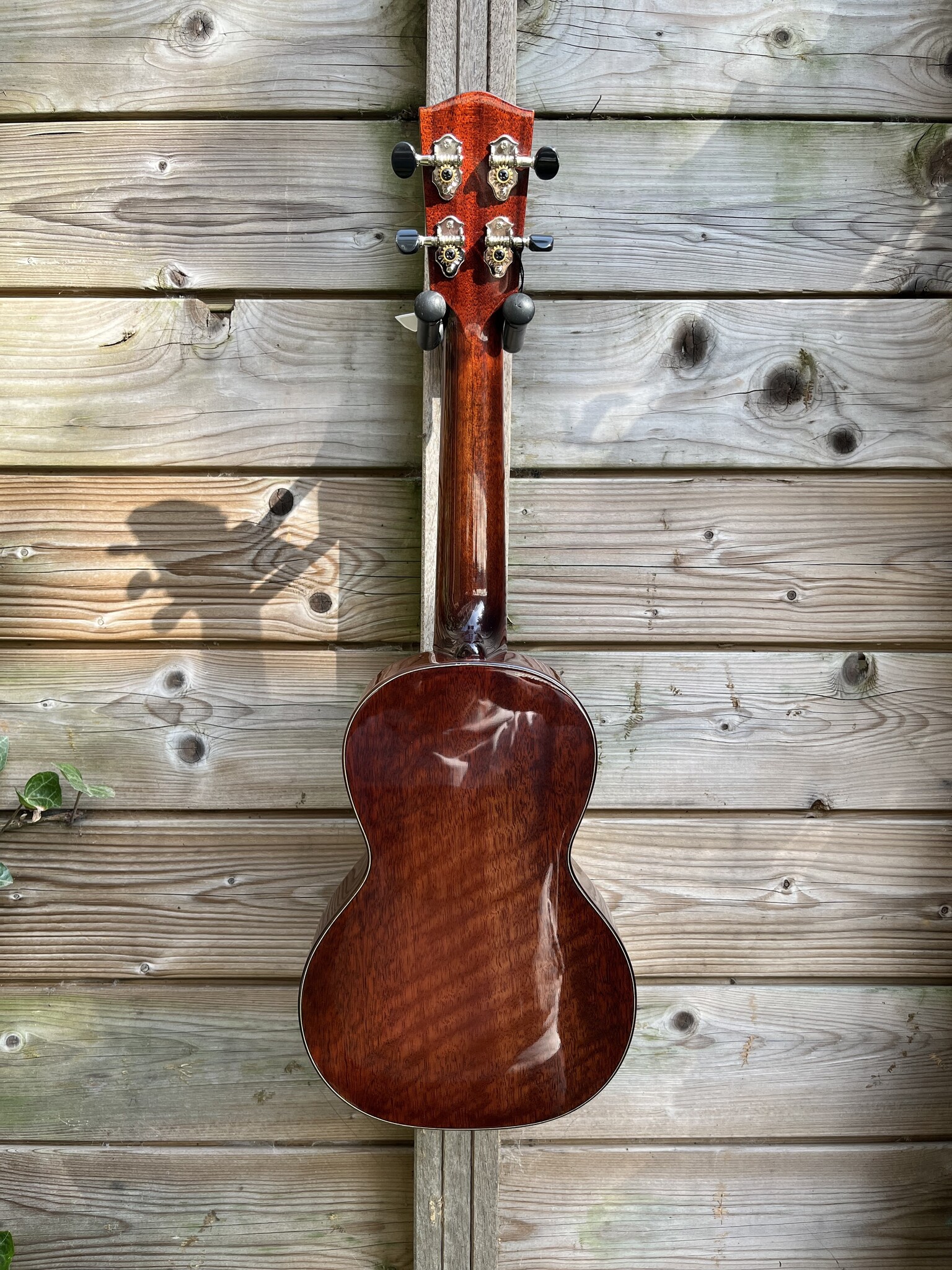 Eastman Eastman EU3C Concert Ukulele (#...167)