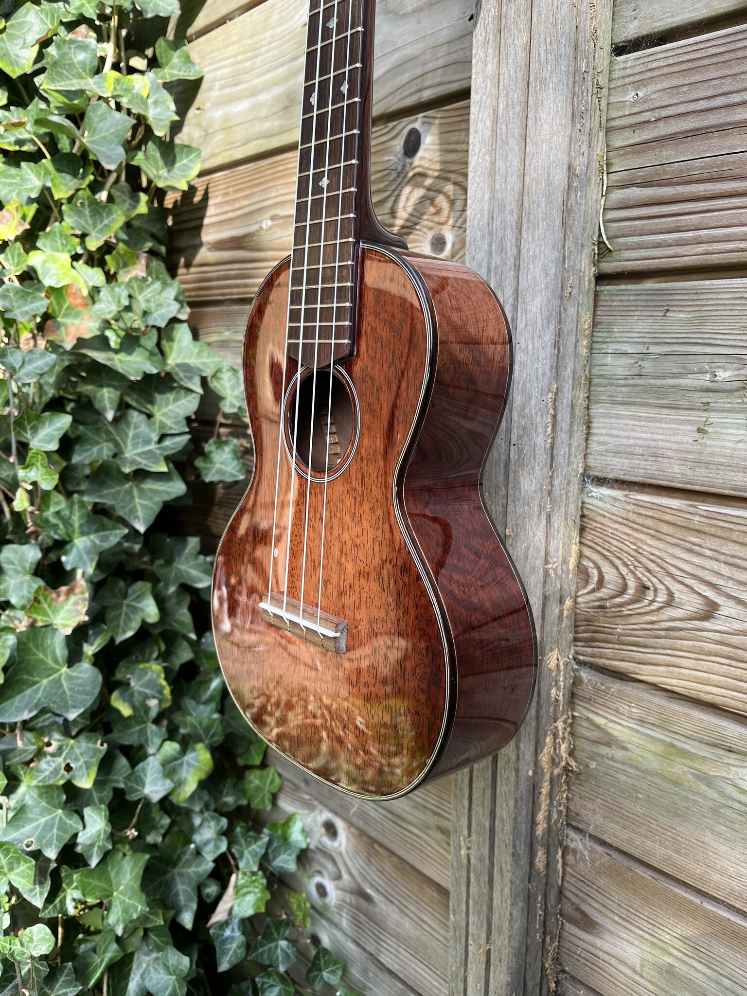 Eastman Eastman EU3C Concert Ukulele (#...167)
