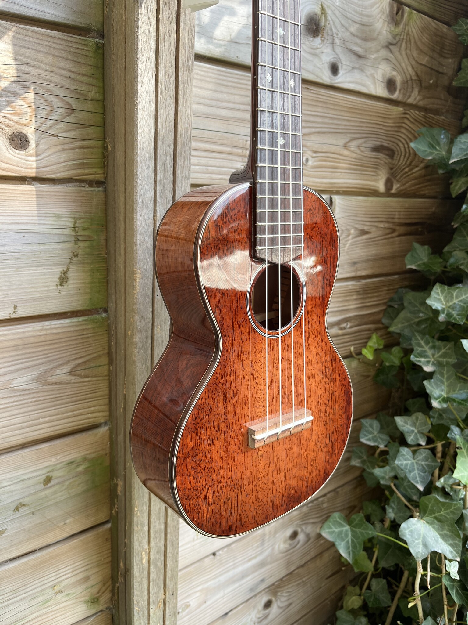 Eastman Eastman EU3C Concert Ukulele (#...167)