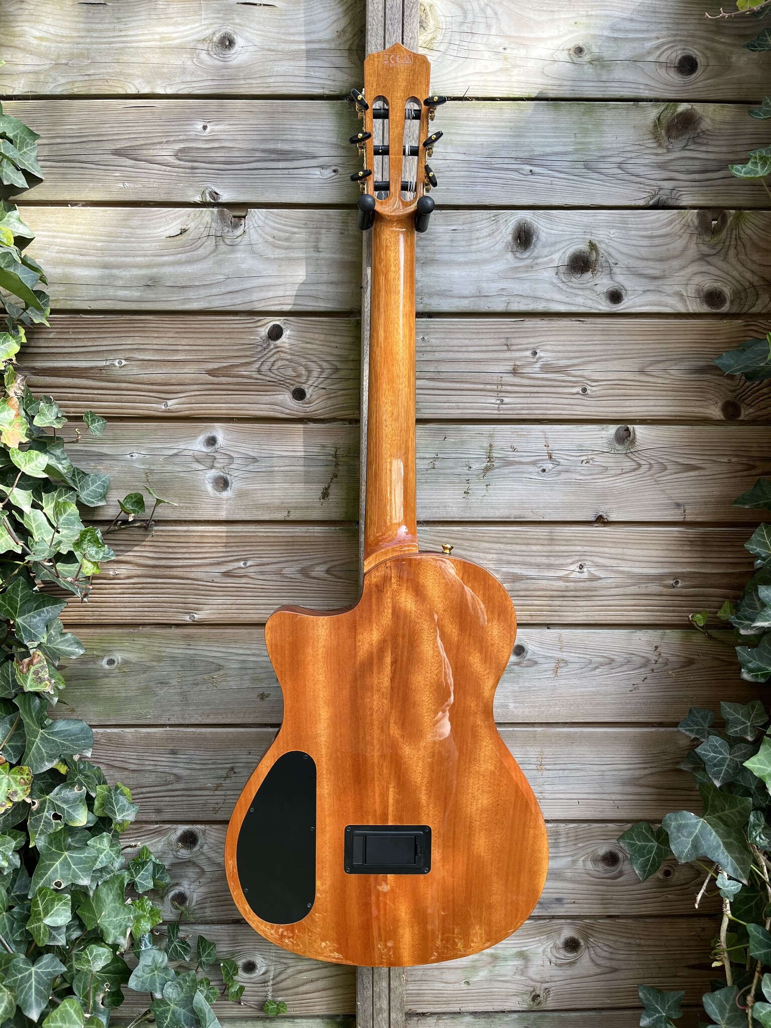 Cordoba Cordoba Stage Edge Burst