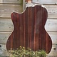 Juan Salvador Juan Salvador 1T Thinline Hybrid