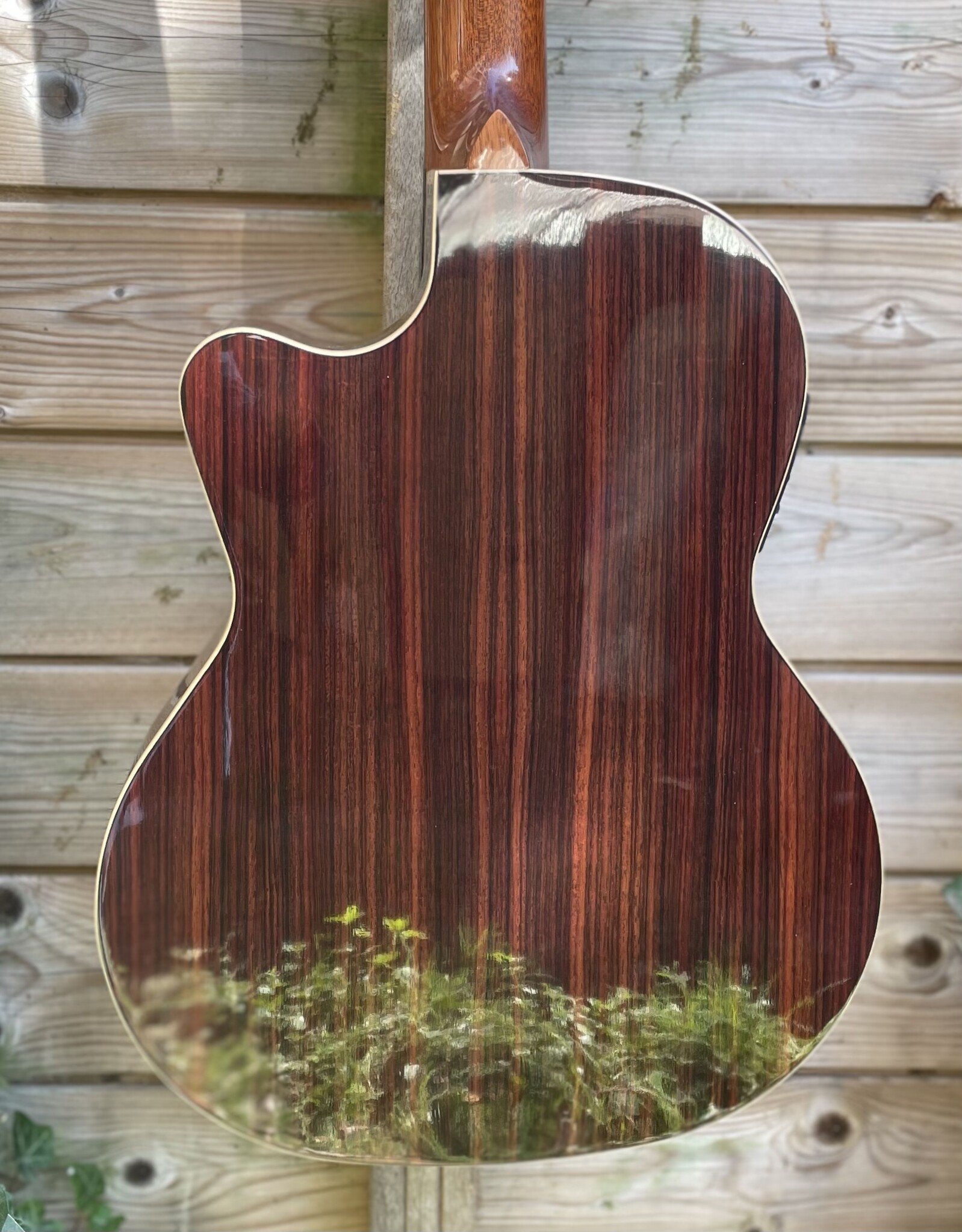 Juan Salvador Juan Salvador 1T Thinline Hybrid