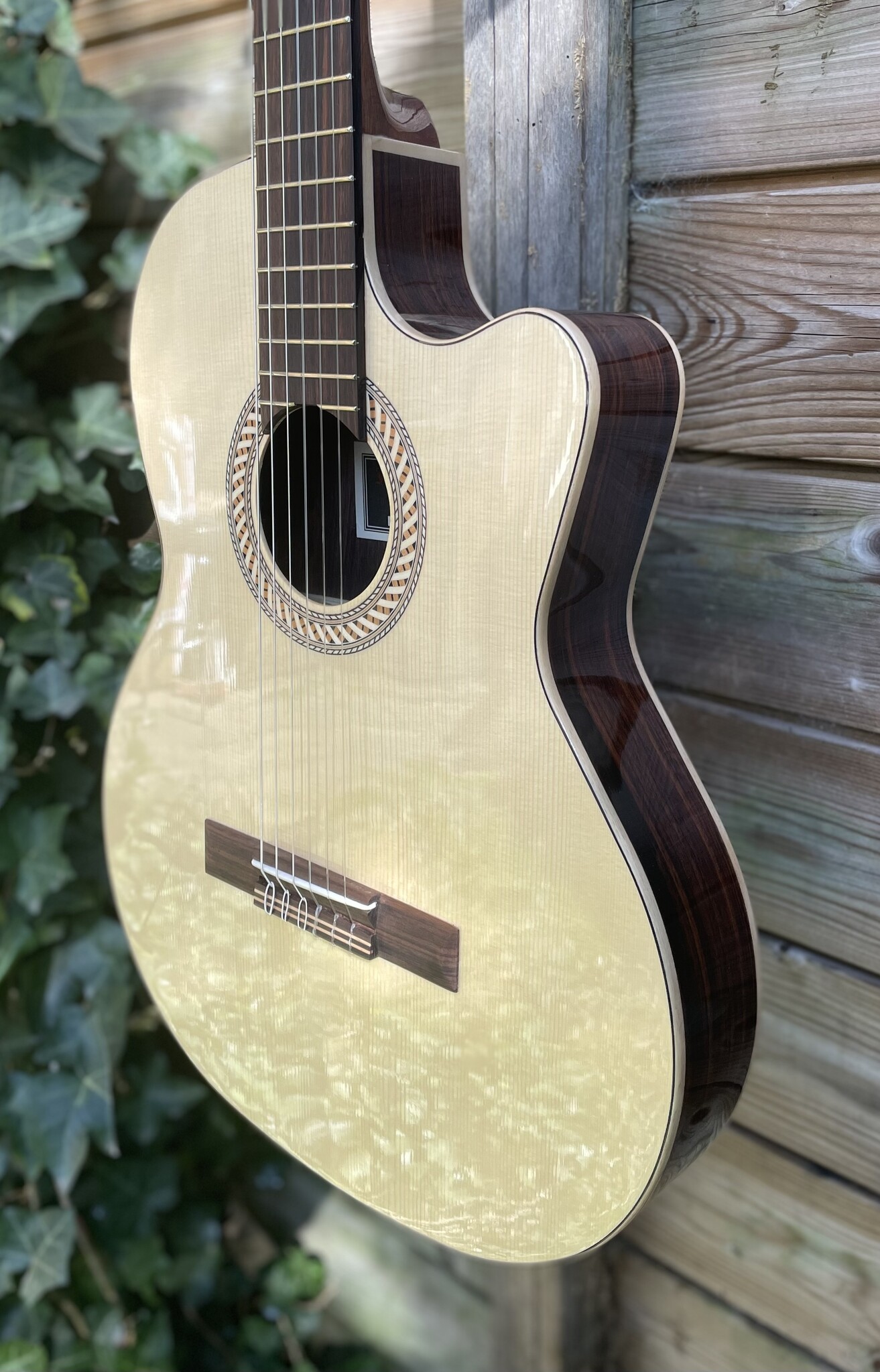 Juan Salvador Juan Salvador 1T Thinline Hybrid