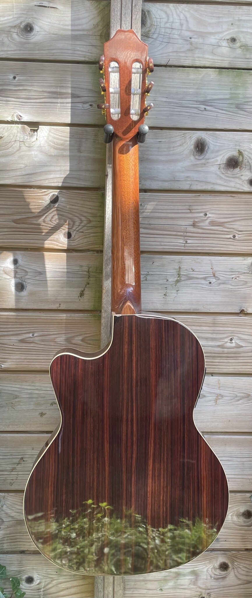 Juan Salvador Juan Salvador 1T Thinline Hybrid