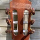 Juan Salvador Juan Salvador 1T Thinline Hybrid